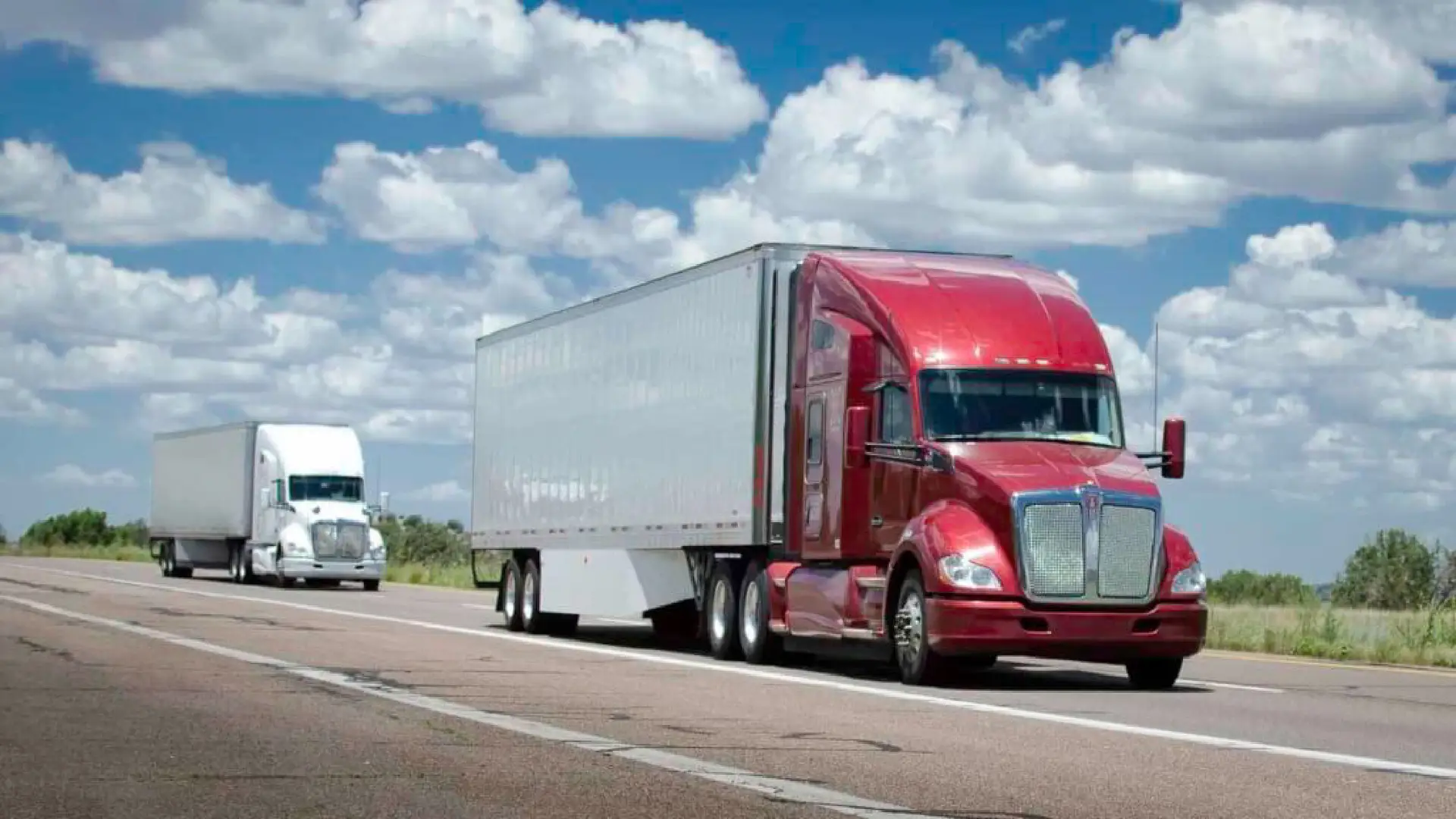 vehicle-malik-freight (14)