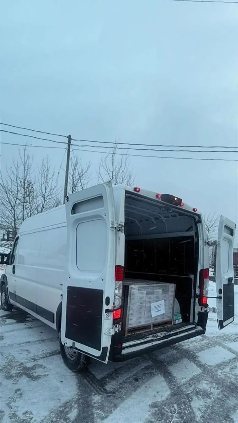 malik-freight-van